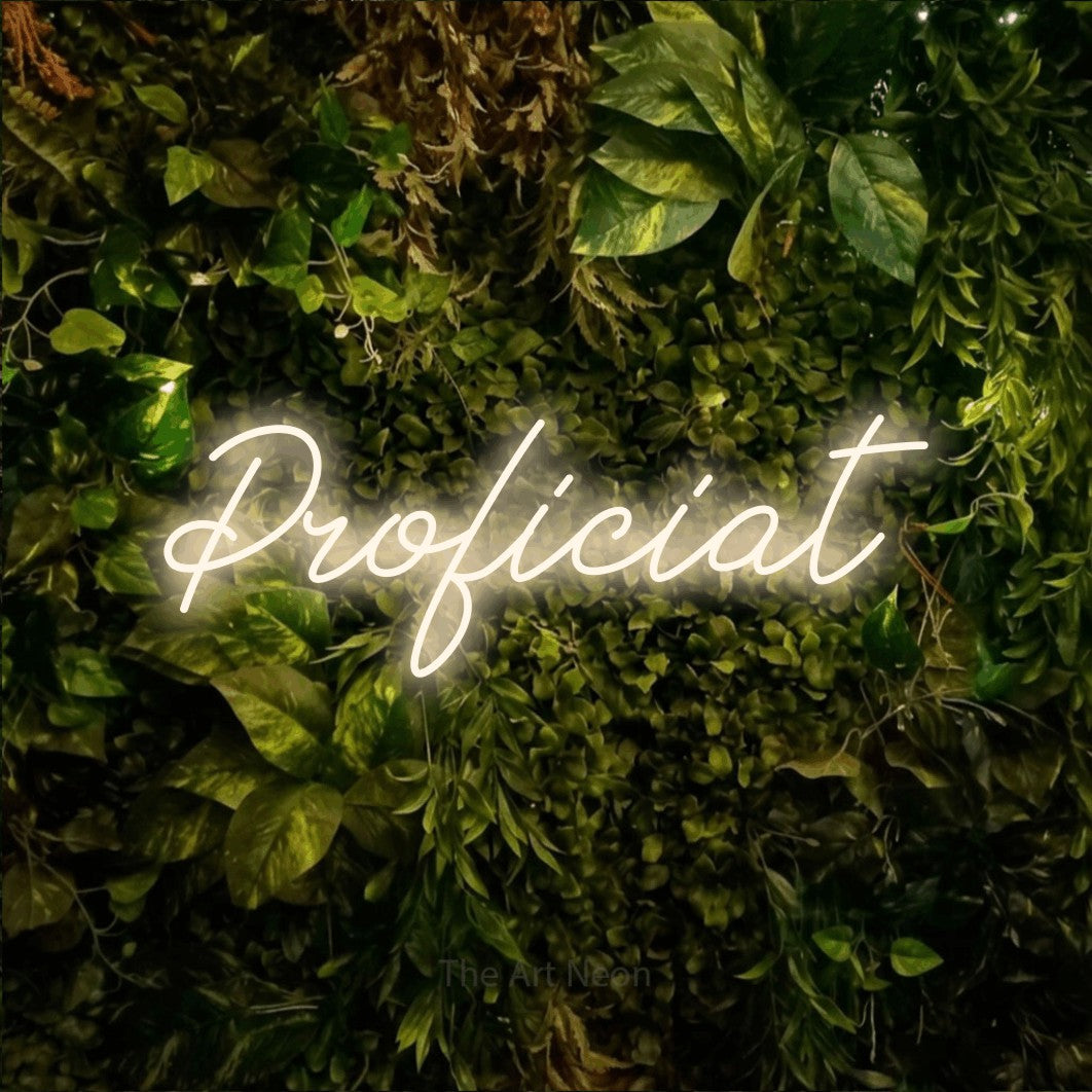 LED neon sign reading “Proficiat”, arranged in a single line.