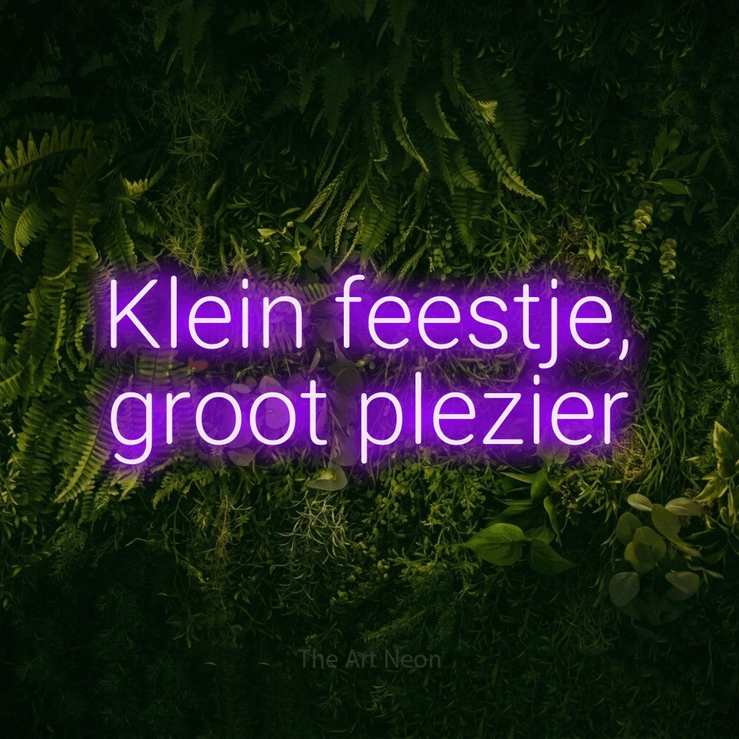 LED neon sign reading “Klein feestje, groot plezier”, arranged in 2 lines.