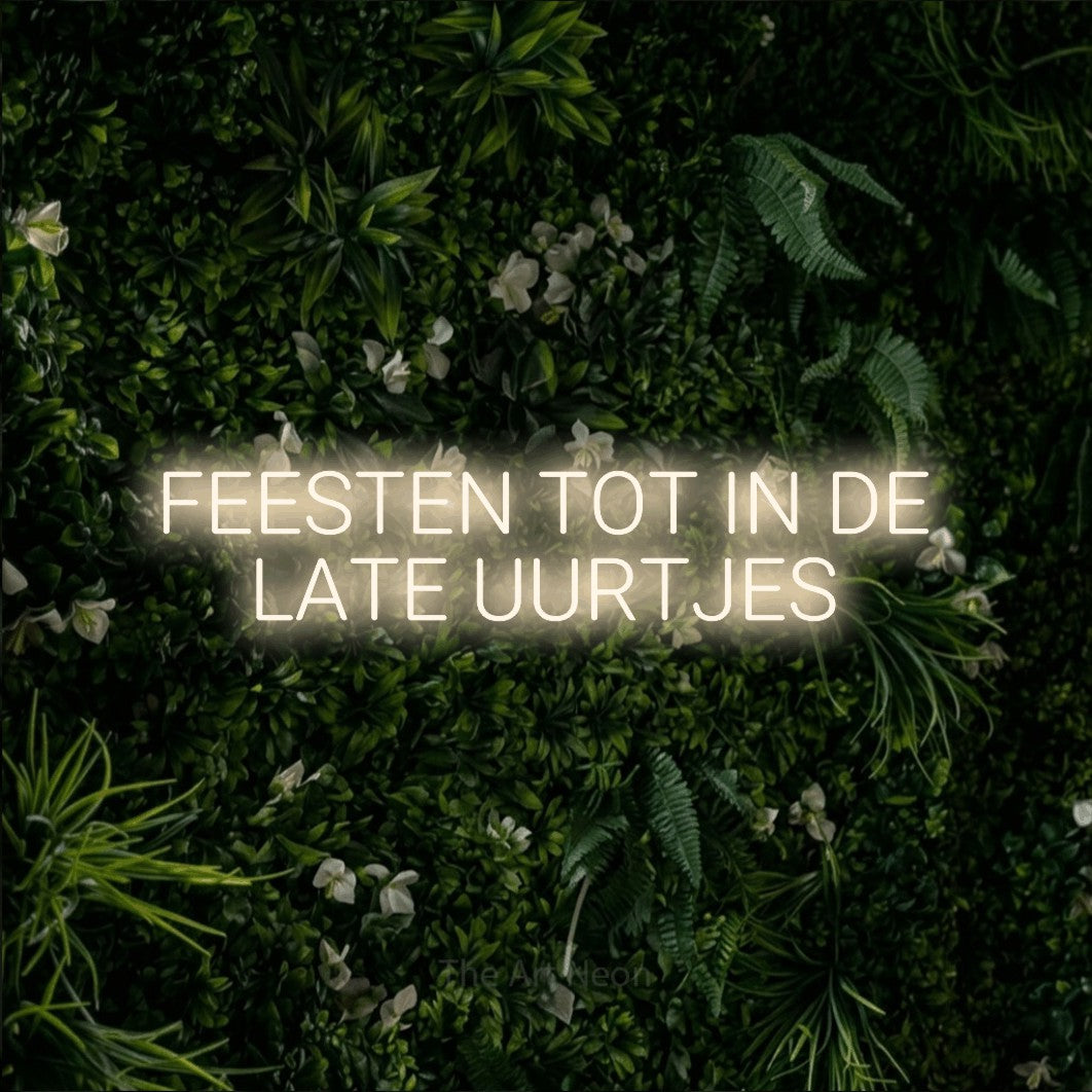 LED neon sign reading “FEESTEN TOT IN DE LATE UURTJES”, arranged in 2 lines.