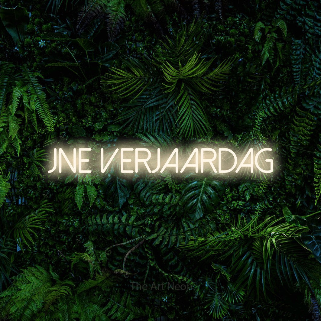 LED neon sign reading “fijne verjaardag”, arranged in a single line.