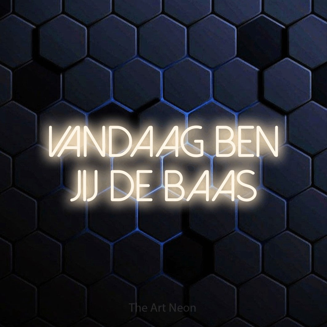LED neon sign reading “VANDAAG BEN JIJ DE BAAS”, arranged in 2 lines.