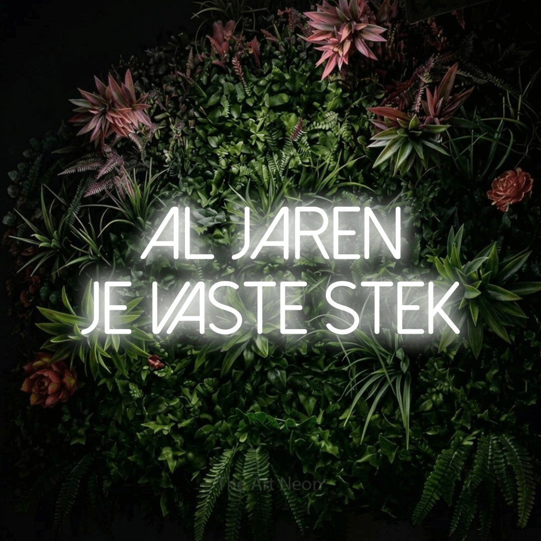 LED neon sign reading “AL JAREN JE VASTE STEK”, arranged in 2 lines.