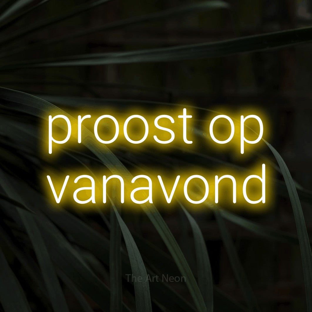 LED neon sign reading “proost op vanavond”, arranged in 2 lines.
