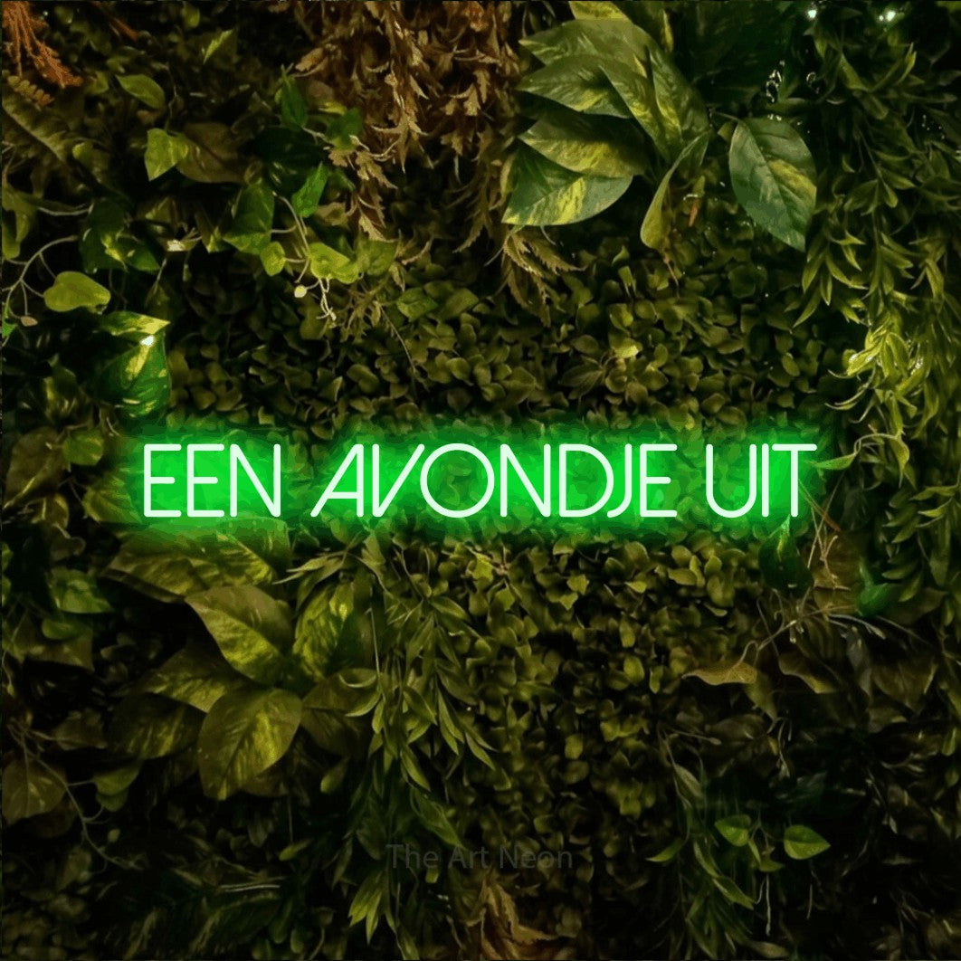 LED neon sign reading “een avondje uit”, arranged in a single line.