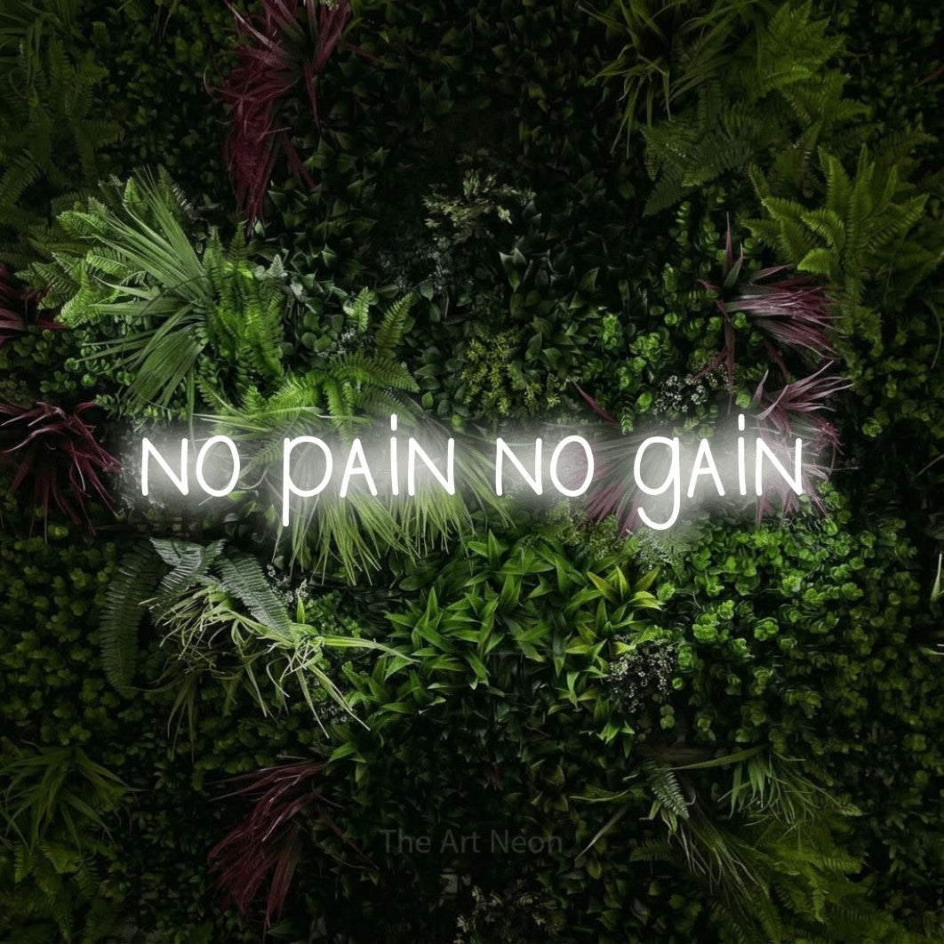 LED neon sign reading “no pain no gain”, arranged in a single line.