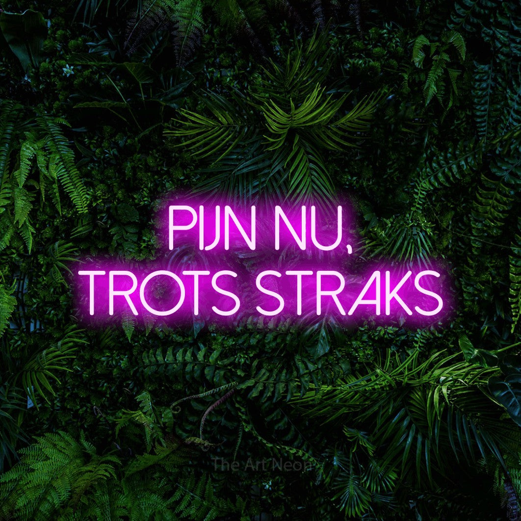 LED neon sign reading “PIJN NU, TROTS STRAKS”, arranged in 2 lines.