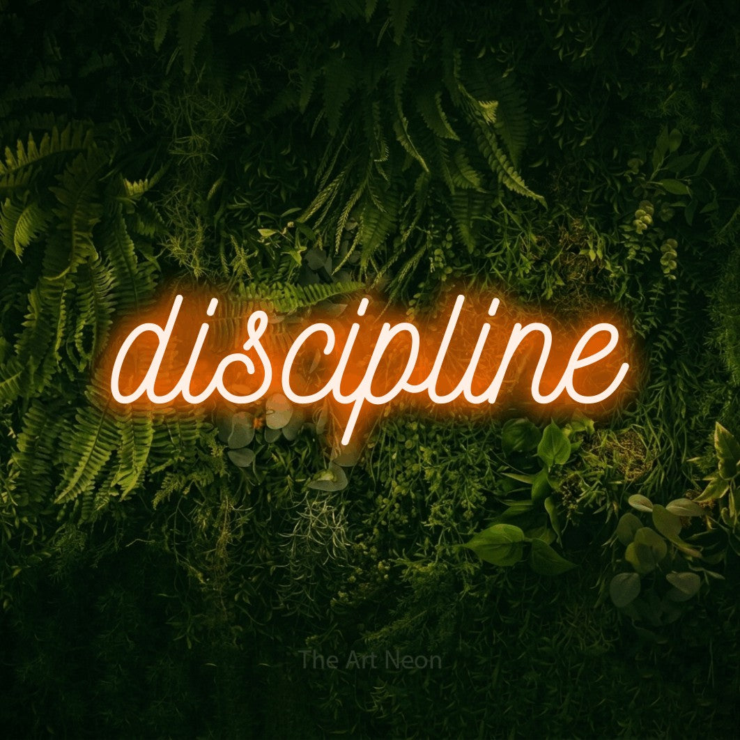 LED neon sign reading “discipline”, arranged in a single line.