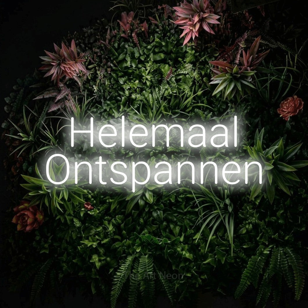 LED neon sign reading “Helemaal Ontspannen”, arranged in 2 lines.