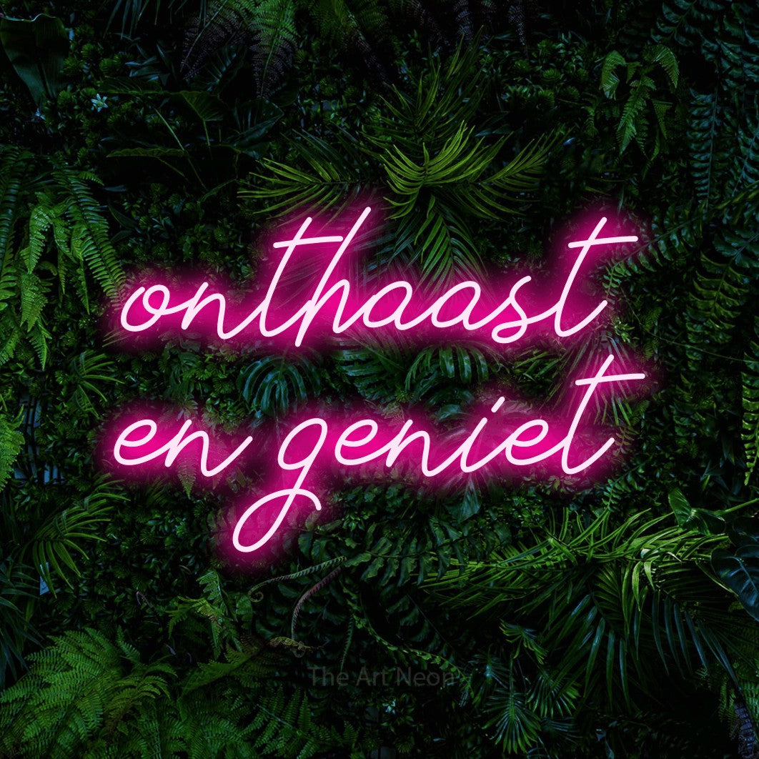 LED neon sign reading “onthaast en geniet”, arranged in 2 lines.