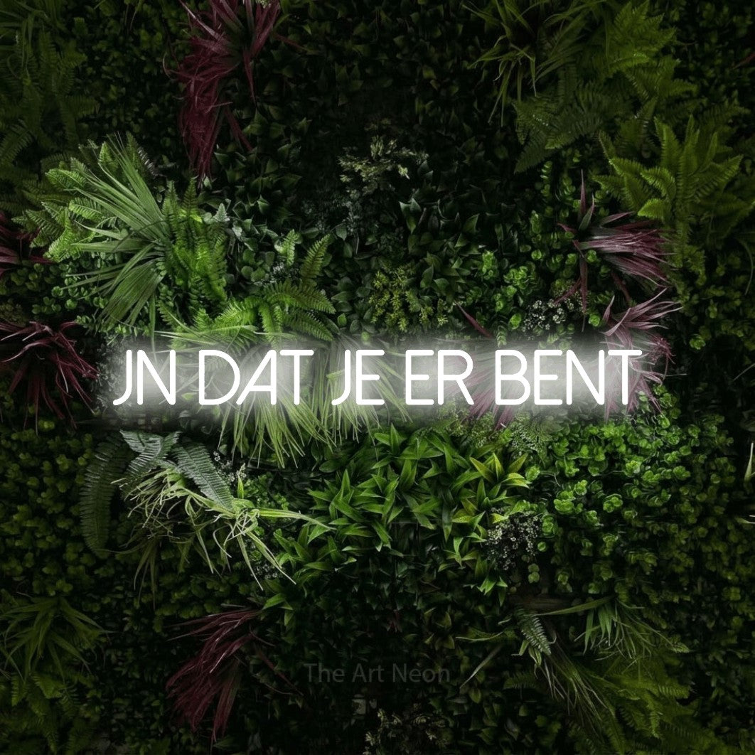LED neon sign reading “fijn dat je er bent”, arranged in a single line.