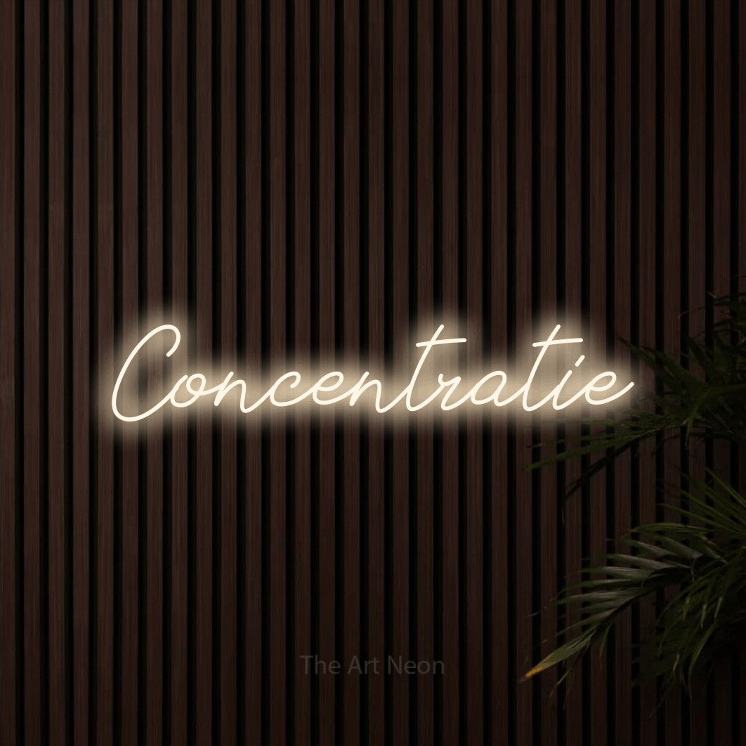 LED neon sign reading “Concentratie”, arranged in a single line.
