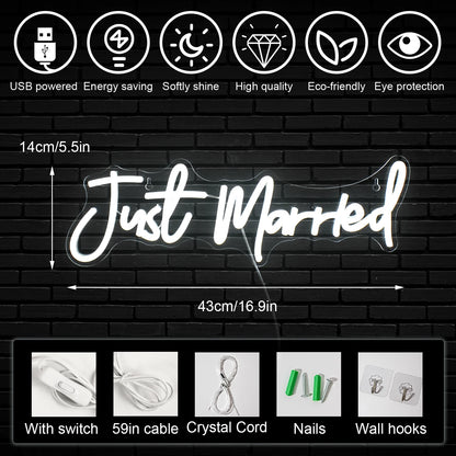 Just Married 5V USB LED Neon Sign - Budgetvriendelijk