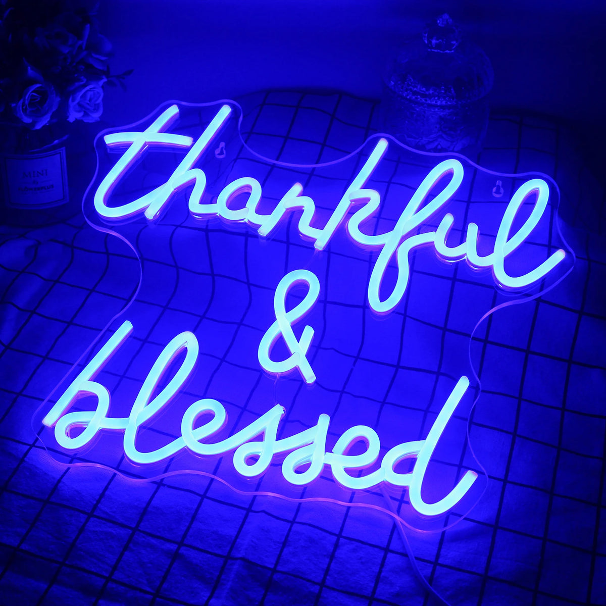 Thankful & Blessed – LED-neonbord (5 V USB)