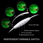 Alligator 5V USB LED Neon Sign - Budgetvriendelijk