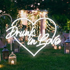 Drunk in Love 5V USB LED Neon Sign - Budget Friendly