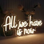 All We Have Is Now 5V USB LED Neon Sign - Budgetvriendelijk