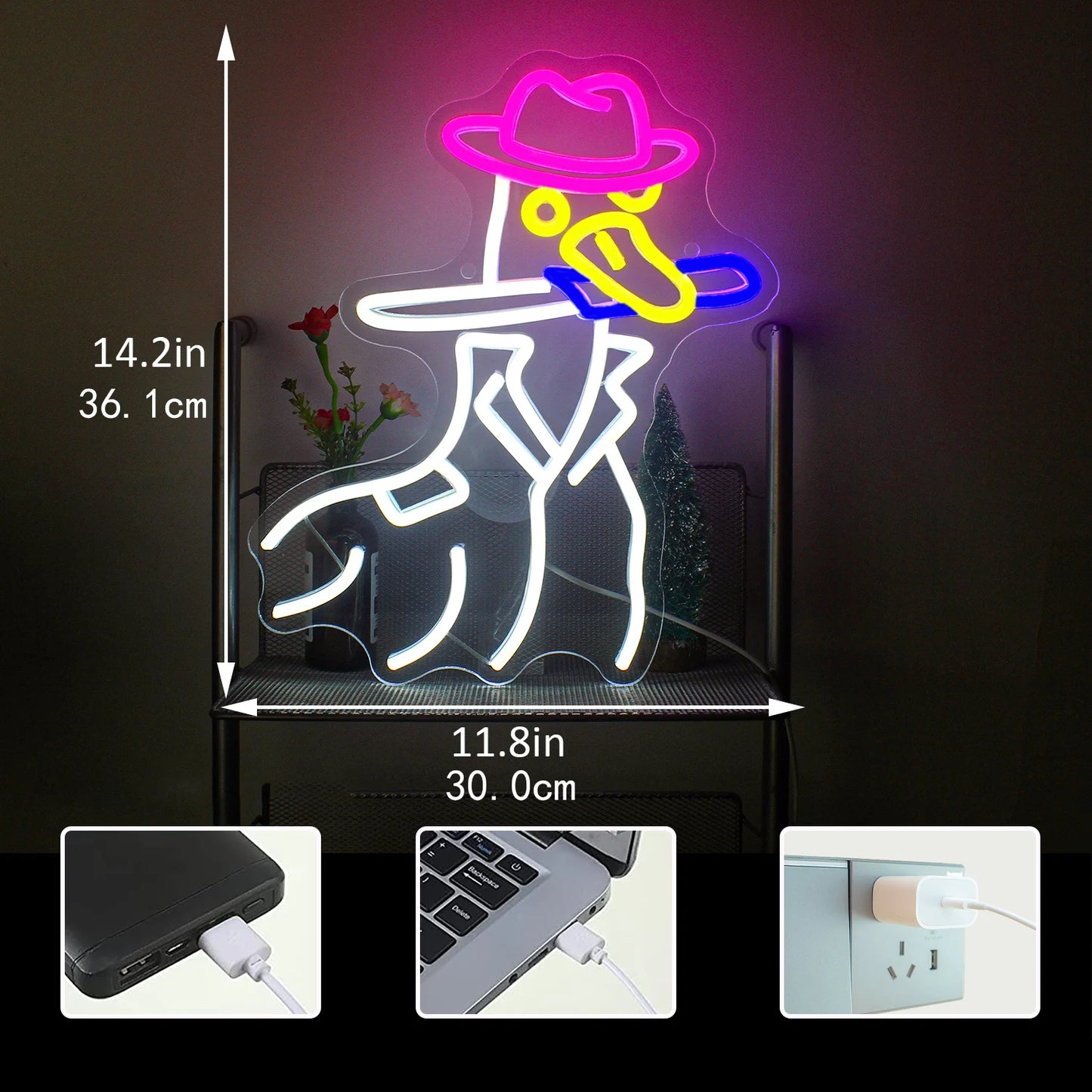 Cowboy Duck 5V USB LED Neon Sign - Budget Friendly