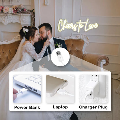 Cheers to Love 5V USB LED Neon Sign - Budget Friendly