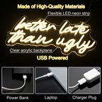 Better Late Than Ugly 5V USB LED Neon Sign - Budget Friendly
