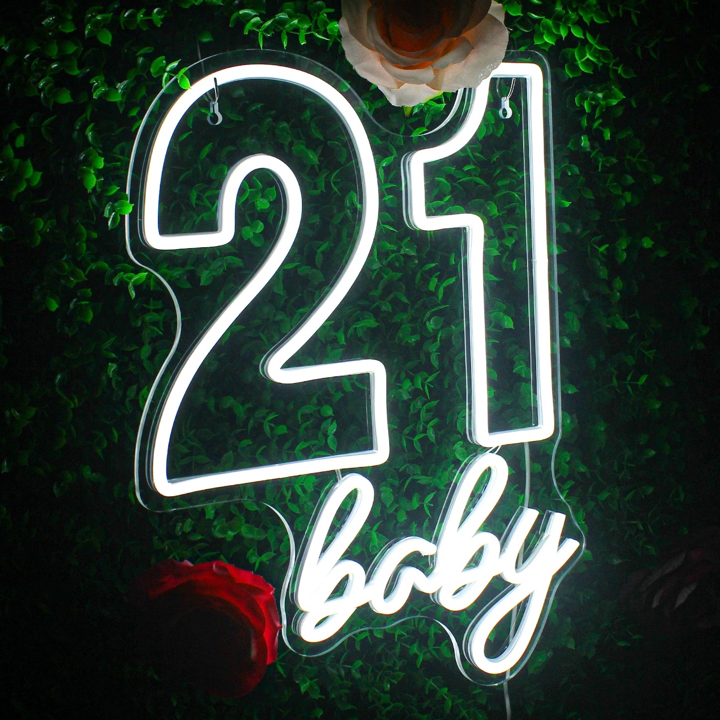 21 baby Happy Birthday 5V USB LED Neon Sign - Budget Friendly