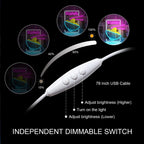 Ramen – Noedelkom en eetstokjes – LED-neonreclame (5 V USB)