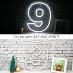 Birthday 0-9 Digital Number 5V USB LED Neon Sign - Budget Friendly