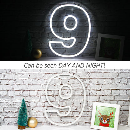 Birthday 0-9 Digital Number 5V USB LED Neon Sign - Budget Friendly
