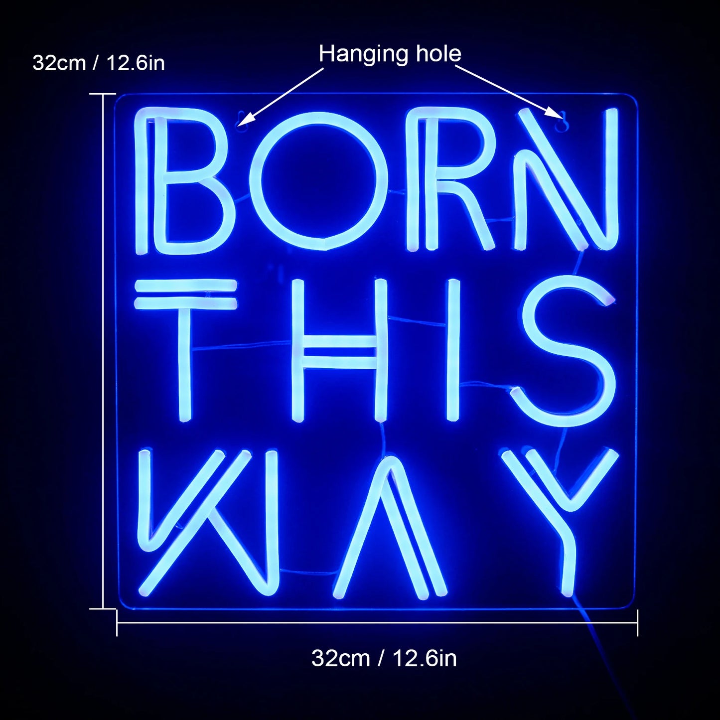 Born This Way 5V USB LED Neon Sign - Budget Friendly