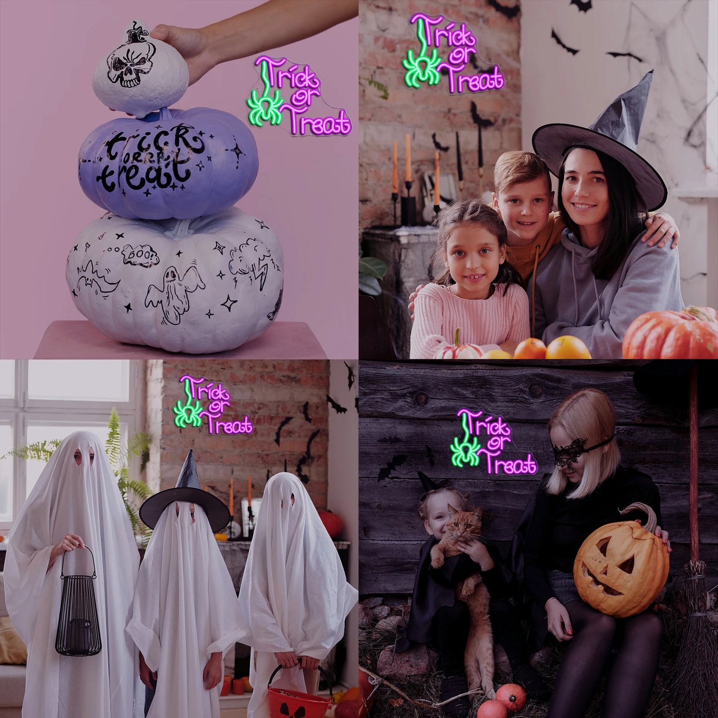 Trick Or Treat Spider 5V USB LED Neon Sign - Budget Friendly