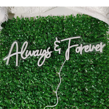 Always Forever 5V USB LED Neon Sign - Budget Friendly