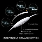 Love is in the Hair 5V USB LED Neon Sign - Budget Friendly