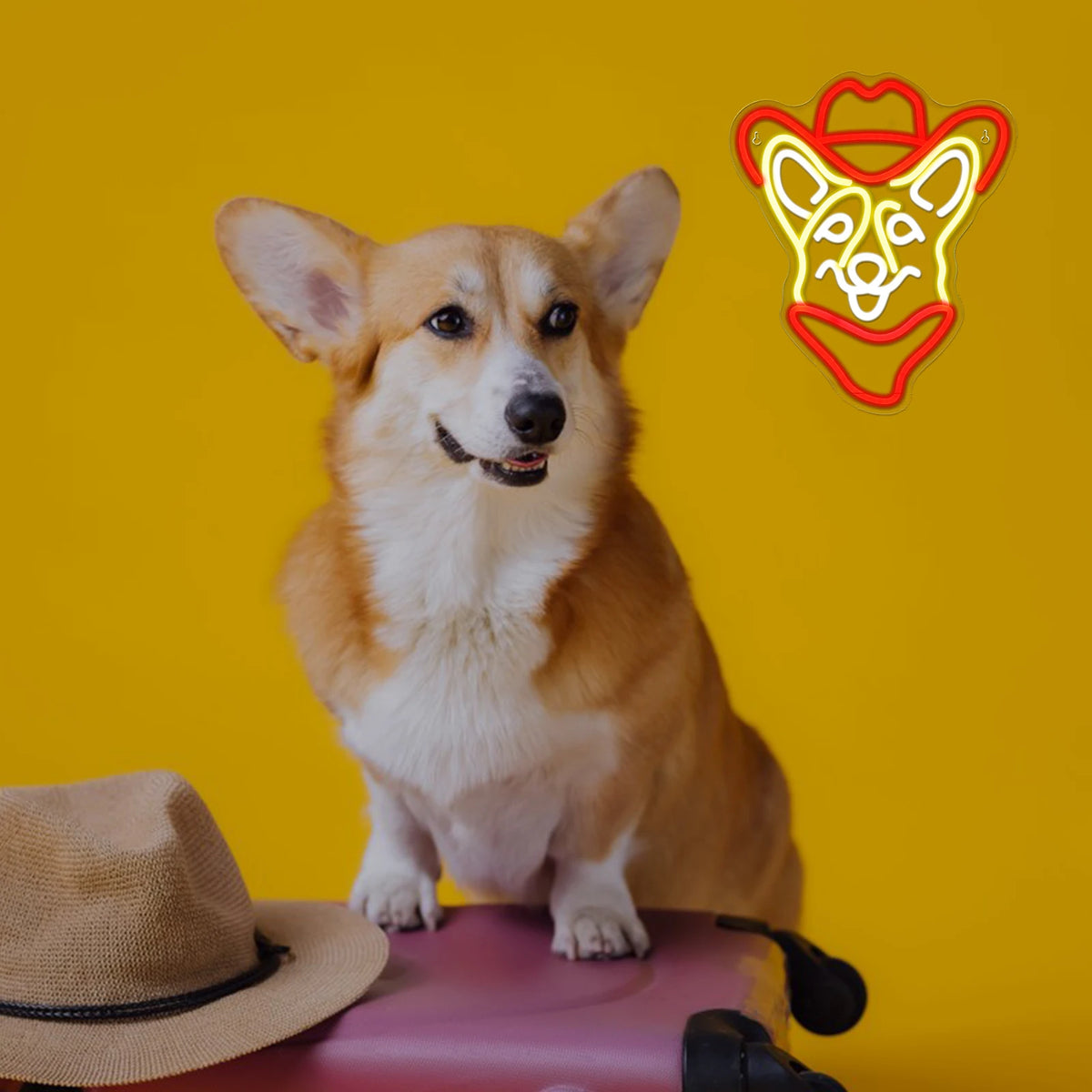 Corgi Cowboy 5V USB LED Neon Sign - Budget Friendly