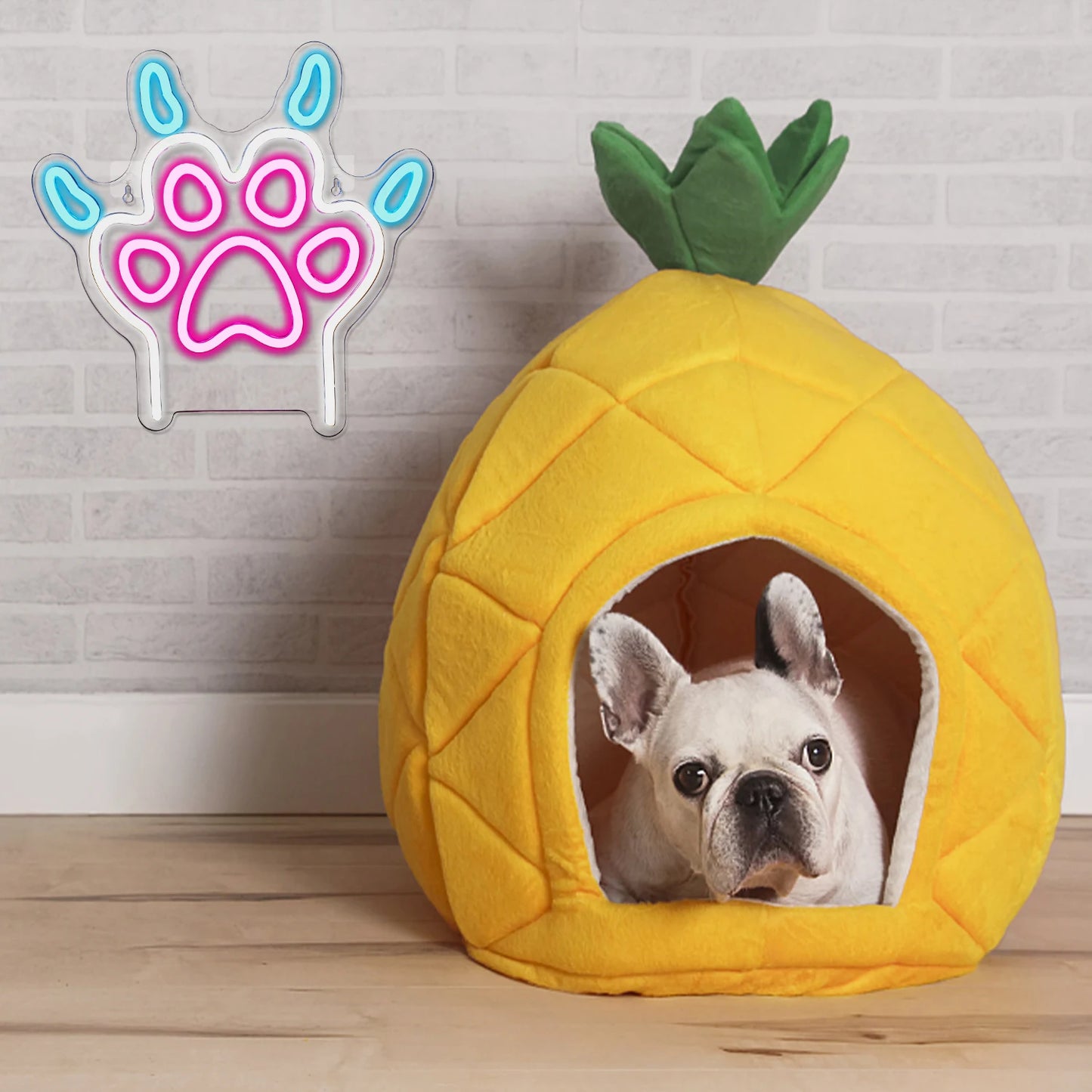 Dog Paw 5V USB LED Neon Sign - Budget Friendly