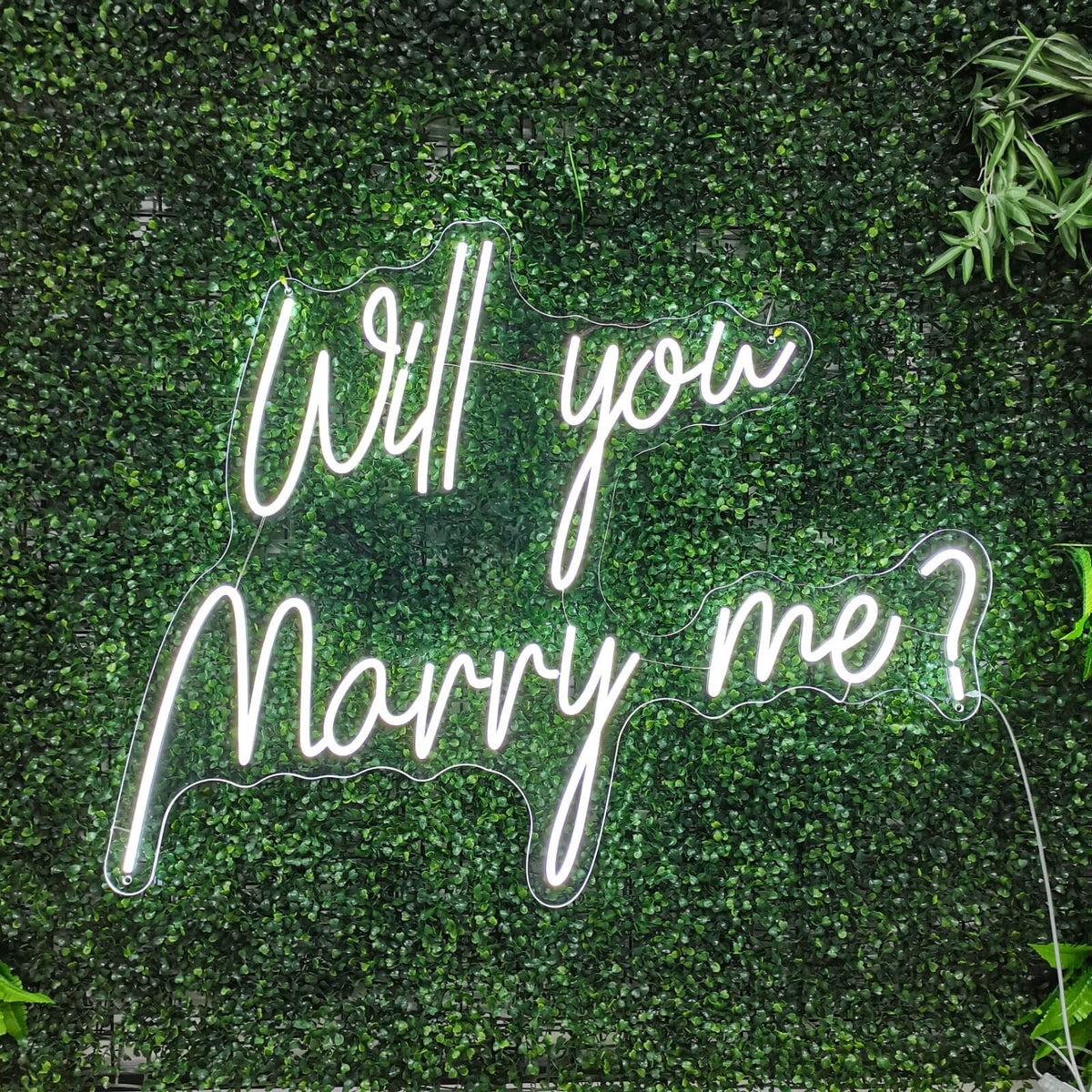 Wil je met me trouwen? Neonreclame