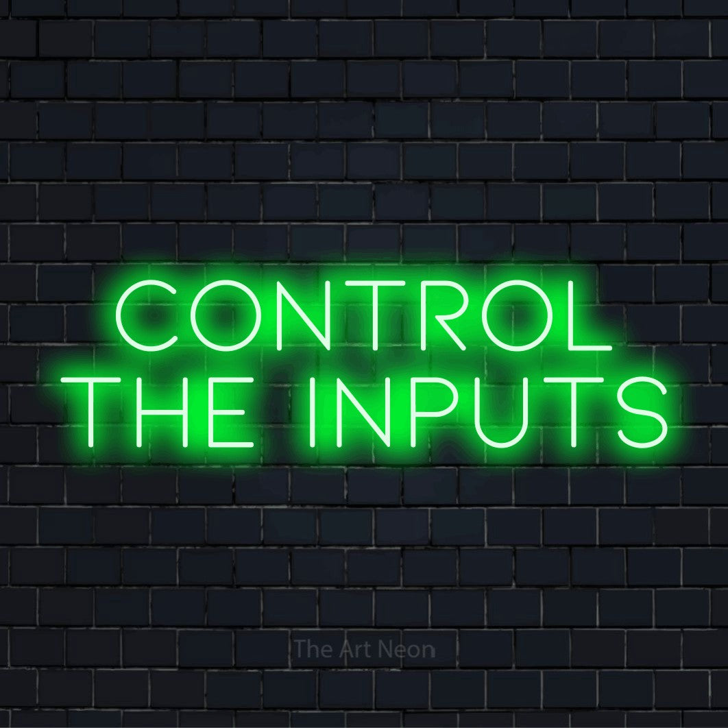 "Control The Inputs" script-style LED neon sign on a black brick wall