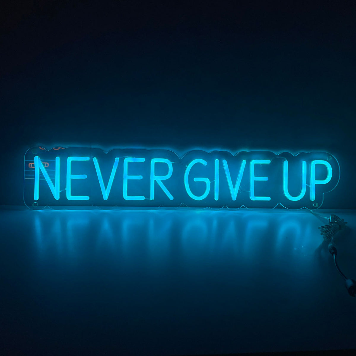 Neonbord Never Give Up - The Art Neon
