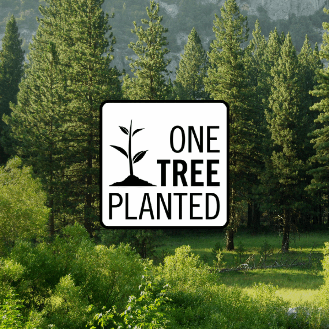 Plant een boom