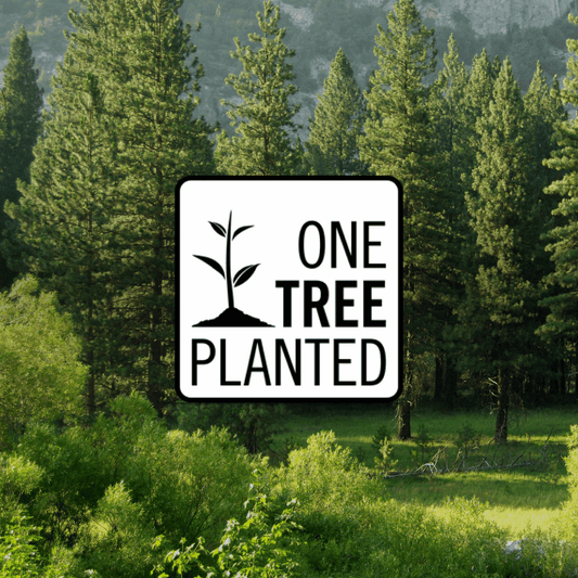 Plant een boom