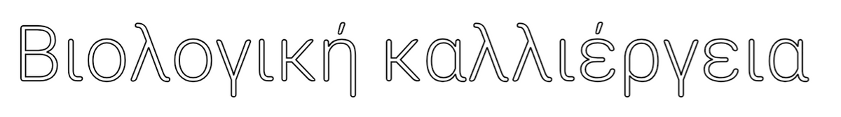 Outline Image