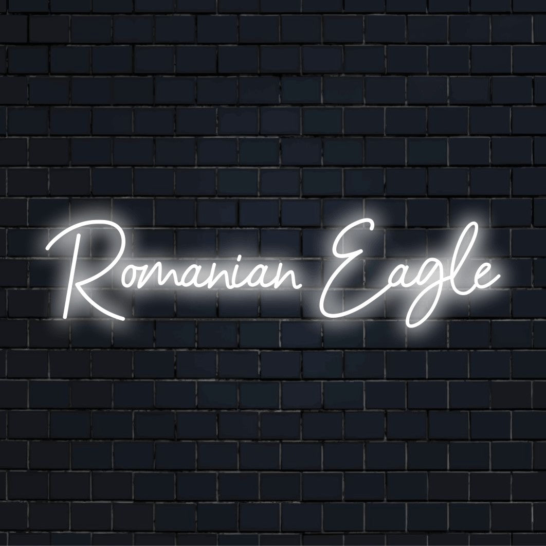 Romanian Eagle Neon Light with neon text light against brick backdrop