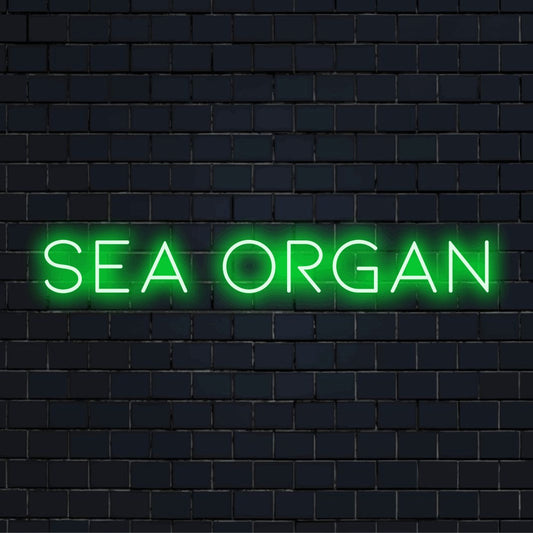 Sea Organ Neon Sign, neon text light on black brick background
