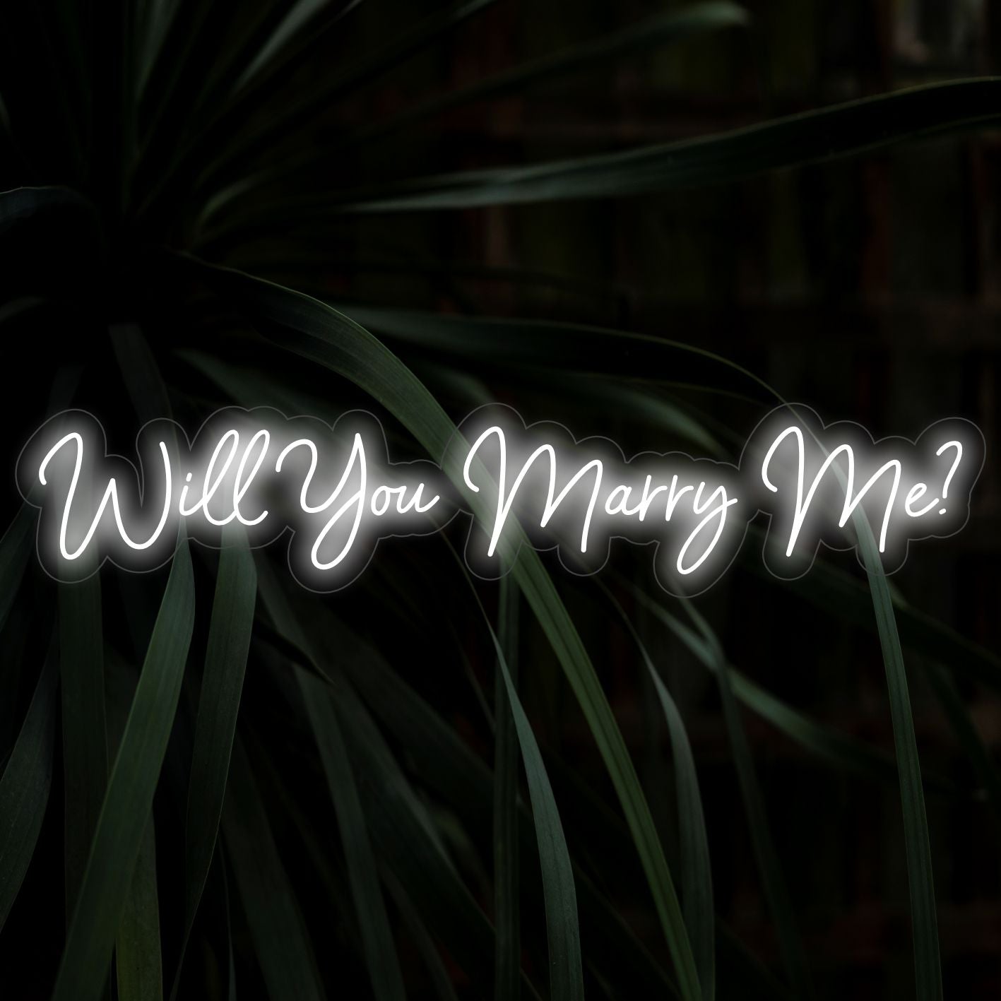 Wil je met me trouwen LED neonbord - The Art Neon