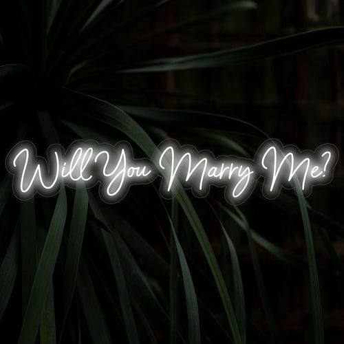 Will You Marry Me LED Neon Sign - The Art Neon